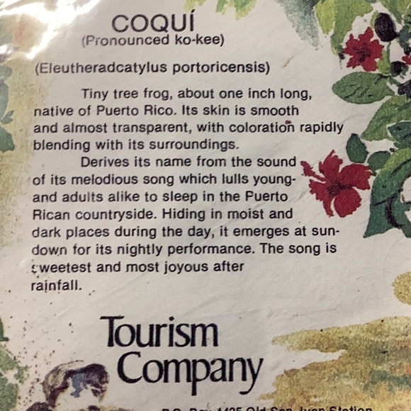 Frog pin - Picture 2 of 3